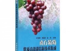 葡萄爆料视频大全最新版,最新版精彩内容大盘点